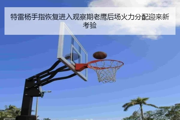 特雷杨手指恢复进入观察期老鹰后场火力分配迎来新考验